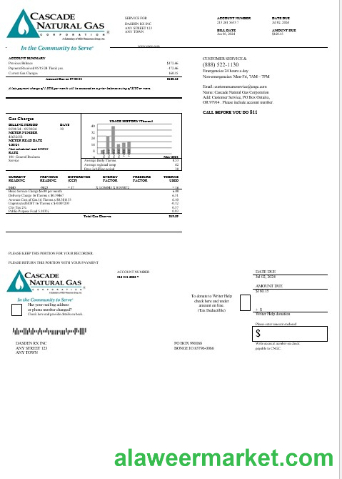 USA Cascade Natural Gas business utility bill, Word and PDF template